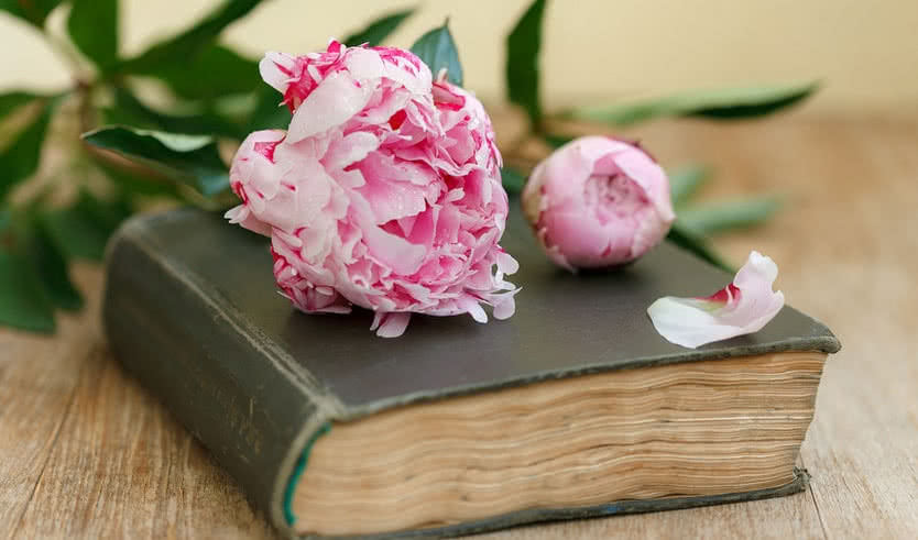 Серебряная нить Серебряного века (для школьников) – экскурсии и программы для детей от 240 рублей