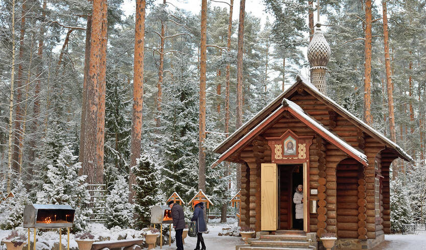Вырица - вдали от суеты — Автобусные загородные