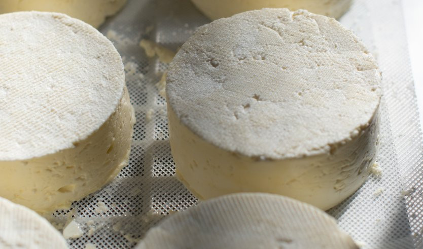 Сыр – загородные экскурсии от 3300 рублей