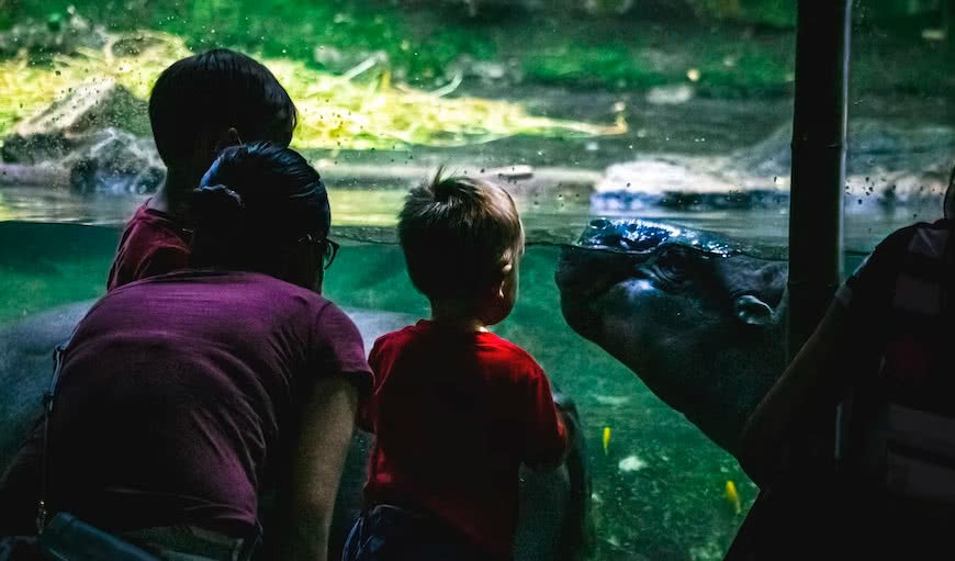 Обложка статьи Куда сходить с ребенком в Санкт-Петербурге