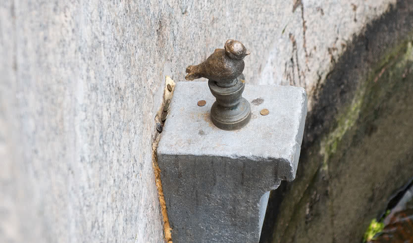 По местам исполнения желаний – автобусная экскурсия (для школьных групп) — Экскурсии для школьников в Санкт-Петербурге под заказ от 500 рублей