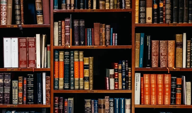 Книги в библиотеке – экскурсии и программы для детей от 240 рублей