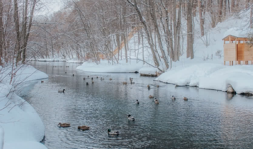 Новогодние каникулы в Казани, 3 дня — экскурсия не периодичная от 12450 рублей