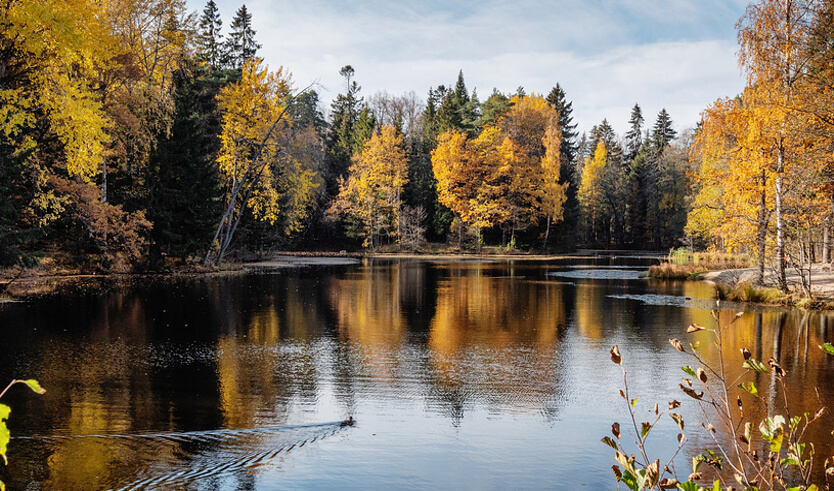 Усадьба Сергиевка и дача Бенуа — Автобусные загородные