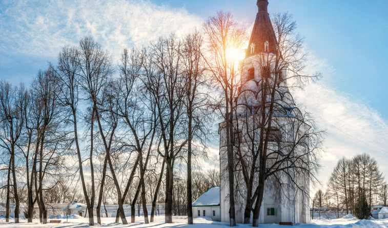  Под княжеским стягом (из Москвы) – сборные туры в по Золотому кольцу от 17990 рублей