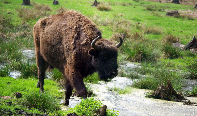 Беларусь, 3 дня: Минск, Хатынь, Мир, Брест – туры для школьников от 8850 рублей