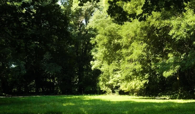 Шуваловский парк (для заказных групп) – пешеходные экскурсии для заказных групп от 290 рублей