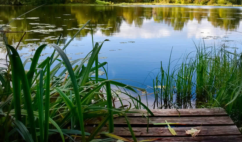 Русская Финляндия (с посещением музея «Ялкала» и органного концерта в Токсово) для заказных групп – автобусные экскурсии для организованных групп 