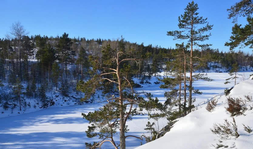 Ладожское озеро в солнечный зимний день – туры в Карелию от 24950 рублей