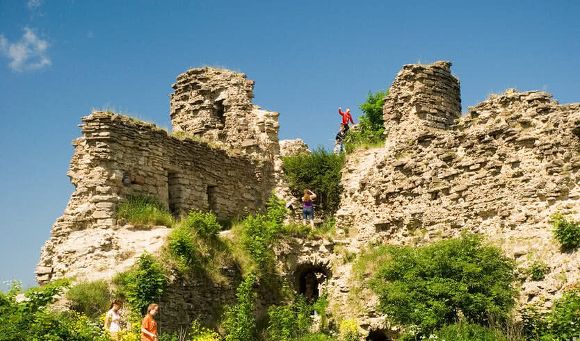 Крепости и усадьбы Ингерманландии — Автобусные загородные