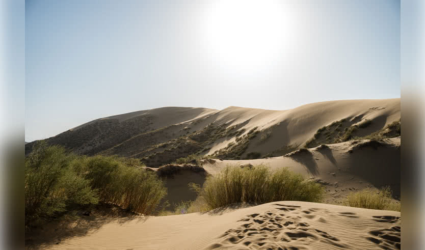 Бархан Сарыкум — Туры в Дагестан от 35500 рублей