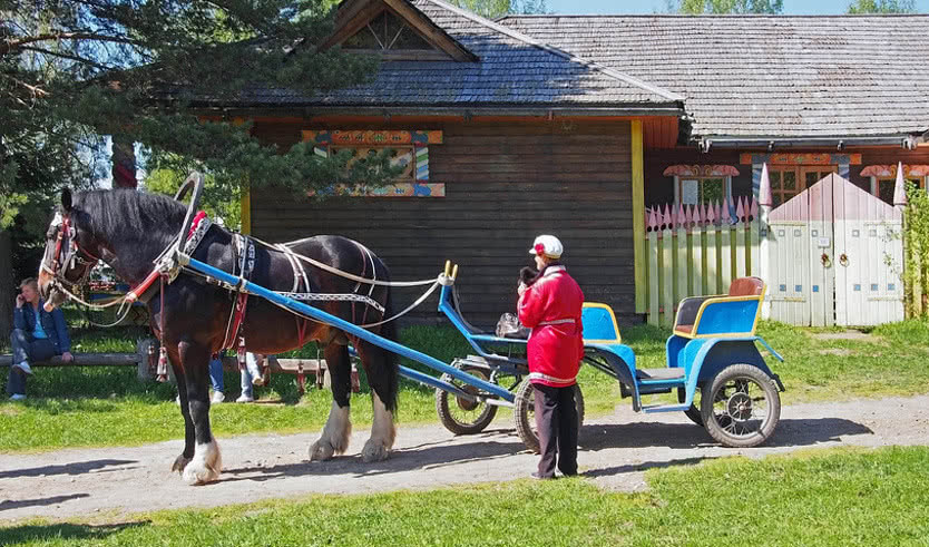 Мандроги – Туры и круизы из Петербурга от 55670 рублей