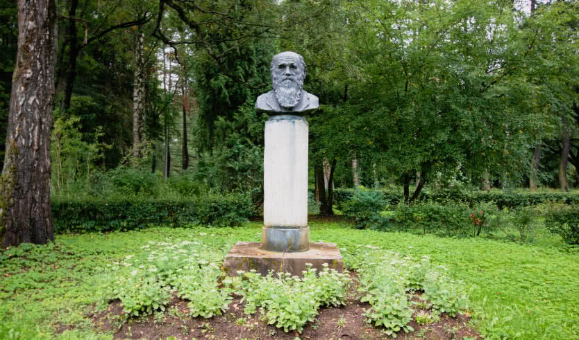 Отроги Колтушских высот (Всеволожский район Ленинградской области) (для групп) – автобусные экскурсии для организованных групп от 1750 рублей