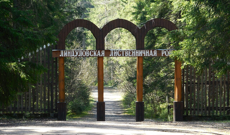 Линдуловская роща – автобусные экскурсии 3200 рублей