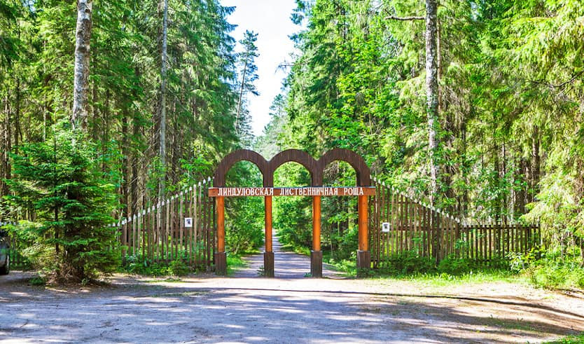 Дачные сплетни имперской столицы — автобусные экскурсии от 940 руб.