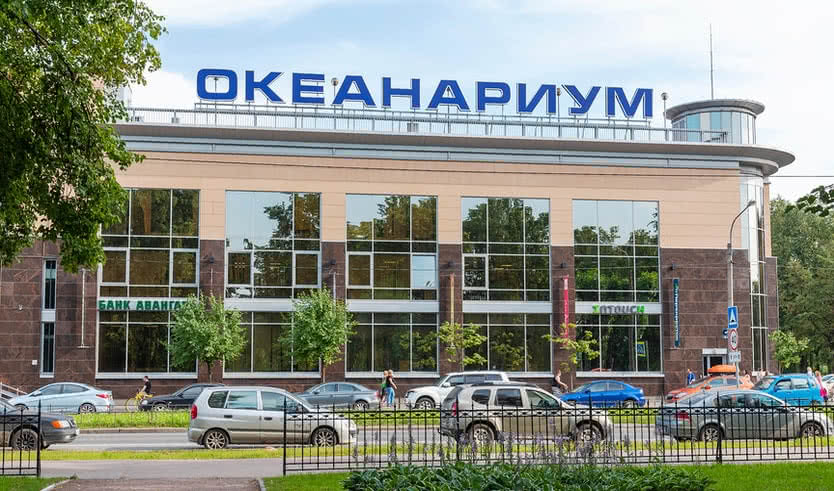 Петербургский Океанариум (для школьных групп) – экскурсии и программы для детей от 500 рублей