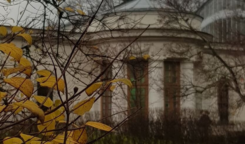 Ботанический сад Петра Великого — Музеи