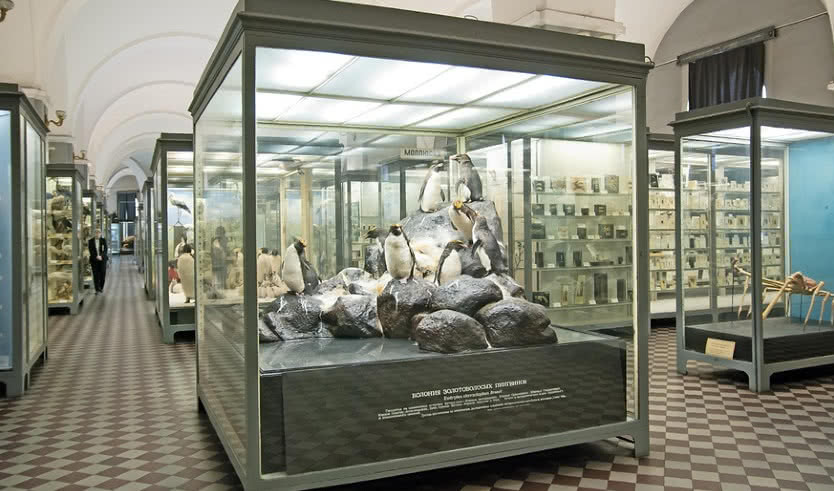 В Петербург с детьми! с понедельника, 5 дней – туры в Санкт-Петербург от 15930 рублей 