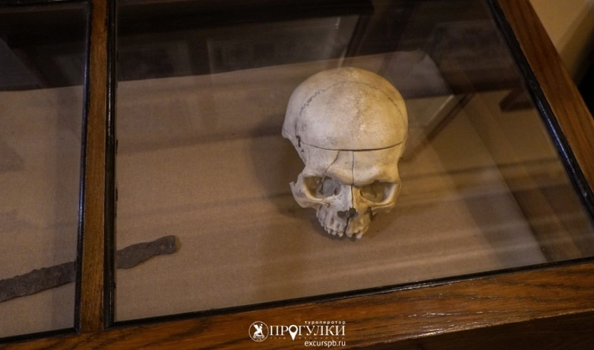 Интерактивное занятие «Вокруг человека за 80 минут» (Военно-медицинский музей)  – Сборные экскурсии, мастер-классы, квесты для школьников в Санкт-Петербурге от 900 рублей