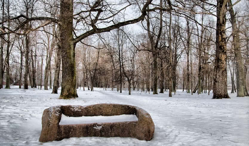 По Пушкинским местам Ленинградской области: Суйда, Выра, Кобрино (для школьных групп) – экскурсии и программы для детей от 1660 руб.