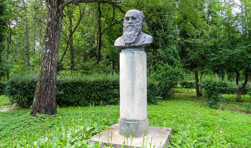 Всеволожский район: о дворянских усадьбах и научных открытиях — Автобусные загородные