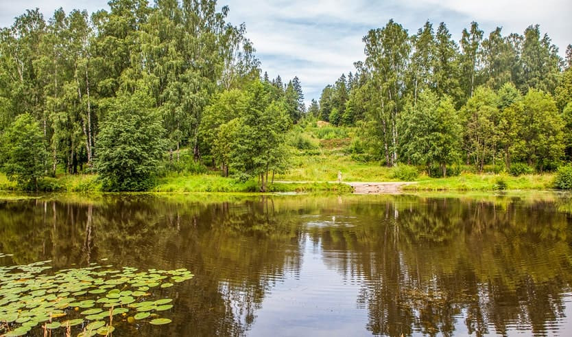 Шуваловский парк – автобусные экскурсии