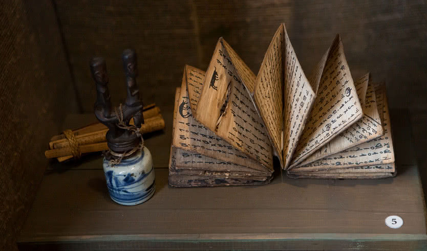 Экспозиция Кунсткамеры – экскурсии и программы для детей от 1700 рублей