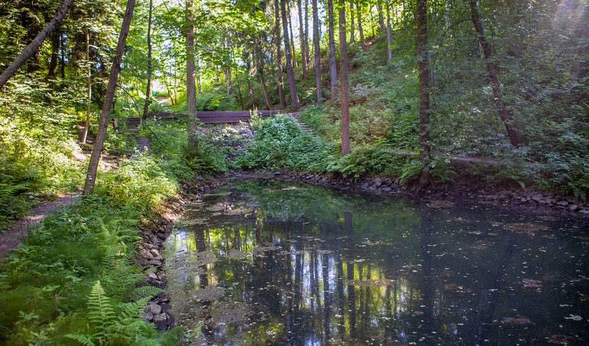 Прогулка по Комарово – Пешеходные экскурсии от 600 рублей