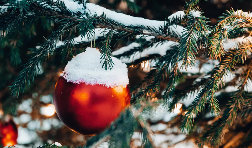 Обложка статьи Новый год в Санкт-Петербурге