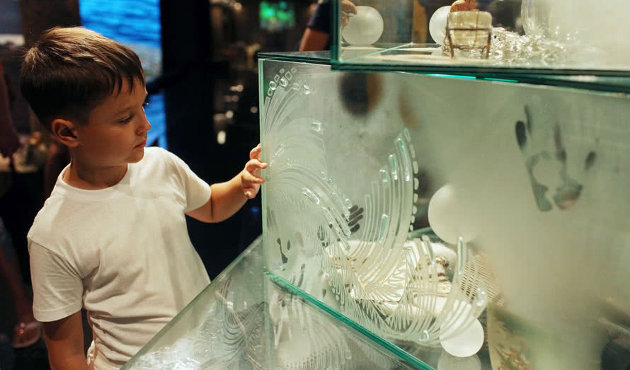 Обложка статьи Экскурсии для детей в Петербурге