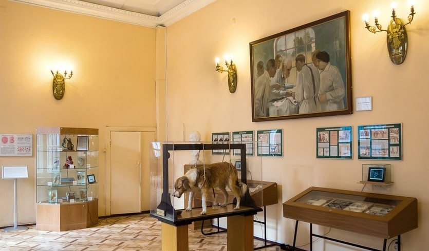 Сказочное путешествие в страну гигиены – экскурсии и программы для детей от 275 рублей