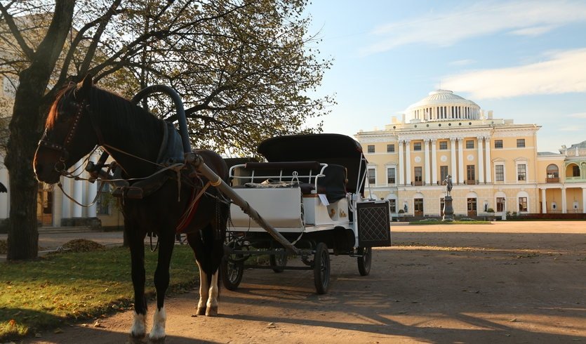 Пушкин - Павловск (для школьников) — экскурсии и программы для детей от 1500 рублей