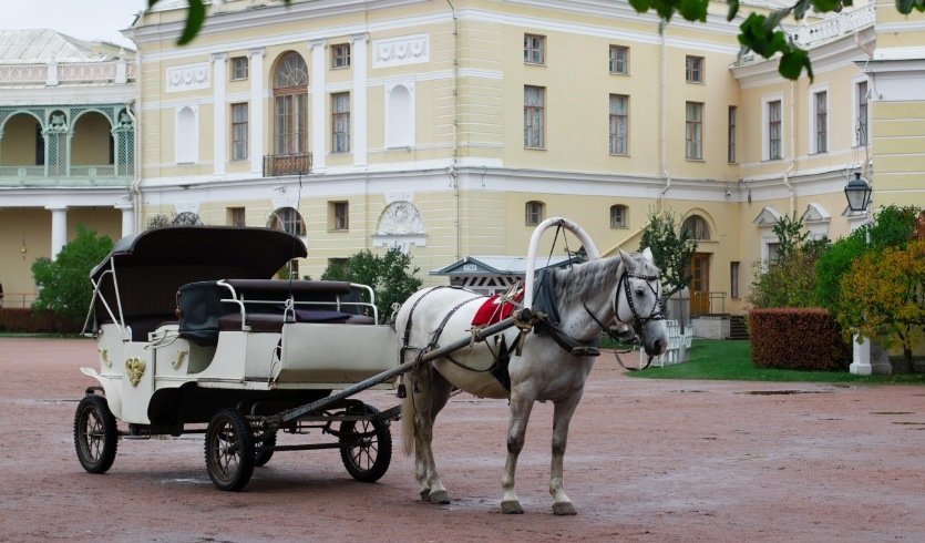 Павловск — Экскурсия для заказных групп от 28700 рублей