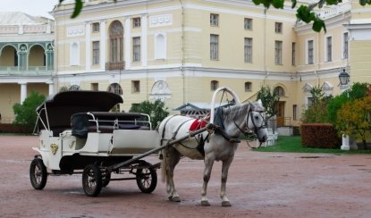Павловск — Экскурсия для заказных групп от 28700 рублей