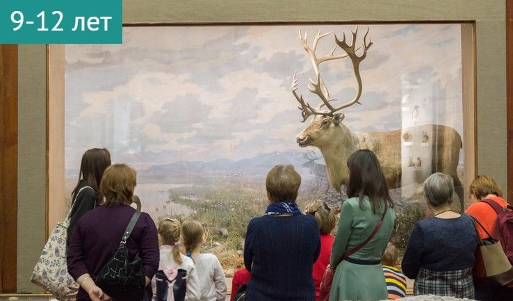 Игровая программа «Как стать полярником» (Музей Арктики и Антарктики) – сборные экскурсии для школьников в Санкт-Петербурге от 450 рублей