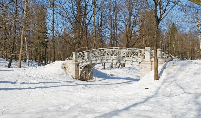 Гатчинский парк – новогодние программы для школьных групп от 1190 рублей