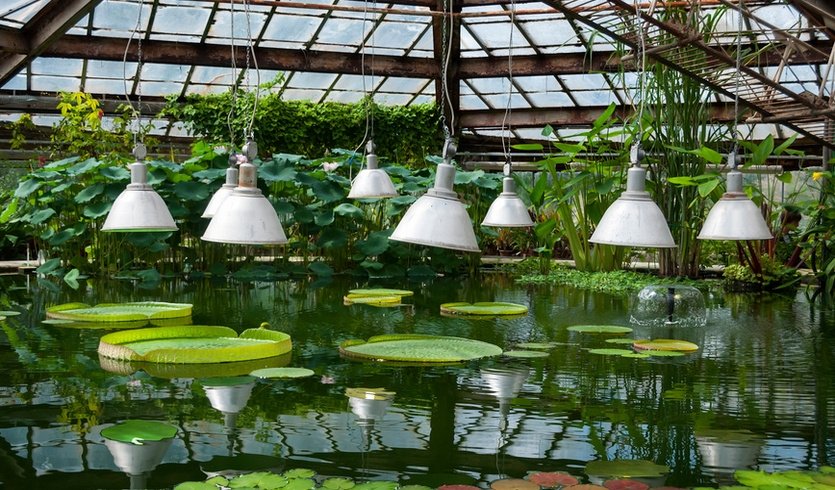 Ботанический Сад – Сборные экскурсии для школьников в Санкт-Петербурге