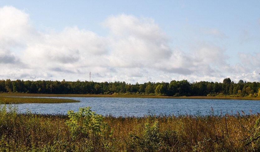 Тайны земли Лужской — Автобусные загородные