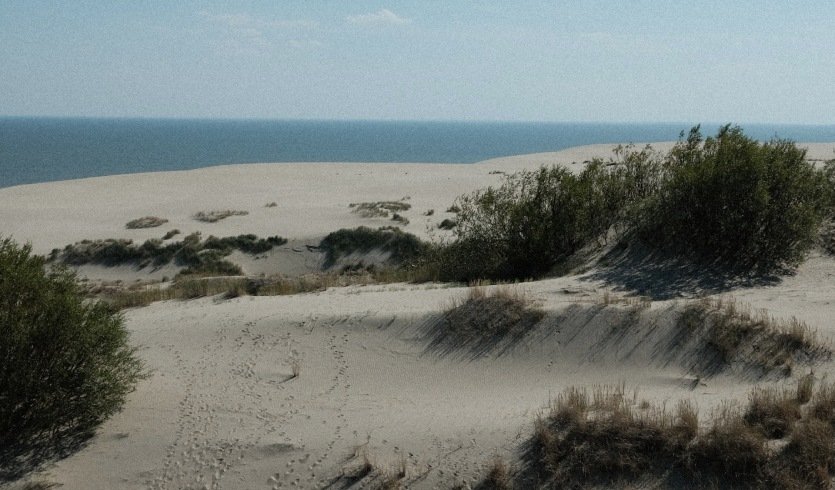 На самом западе России (май-октябрь) — тур по расписанию от 18000 рублей