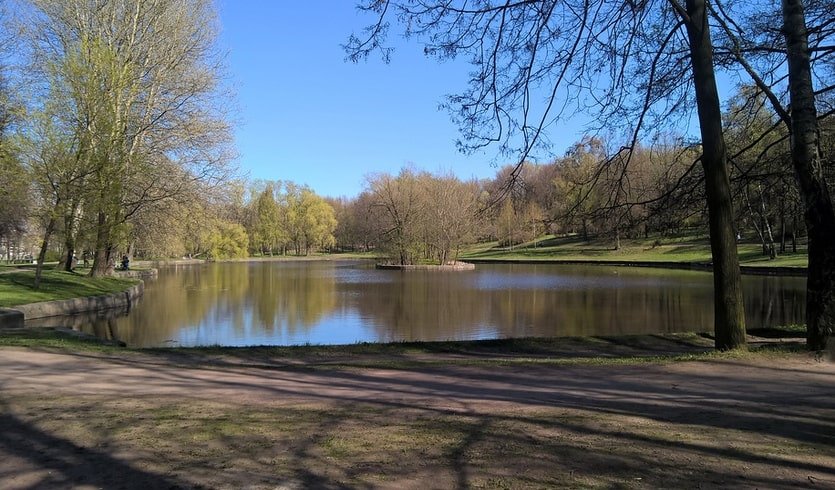 Прогулка на трамвае от Автово в Сосновую Поляну – Пешеходные экскурсии