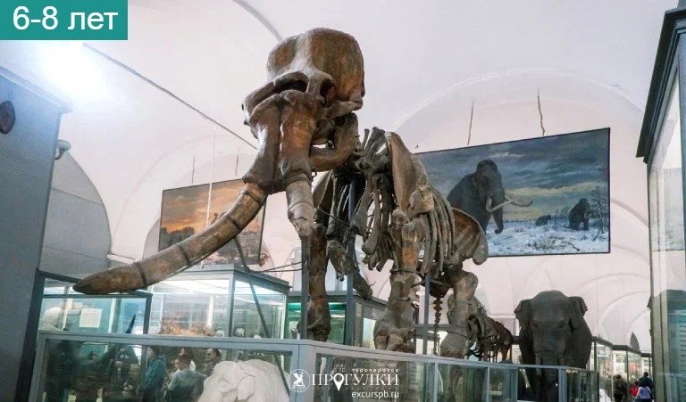 «Гиганты и карлики» (Зоологический музей) – фото №1 «Гиганты и карлики» (Зоологический музей) – детские экскурсии от 700