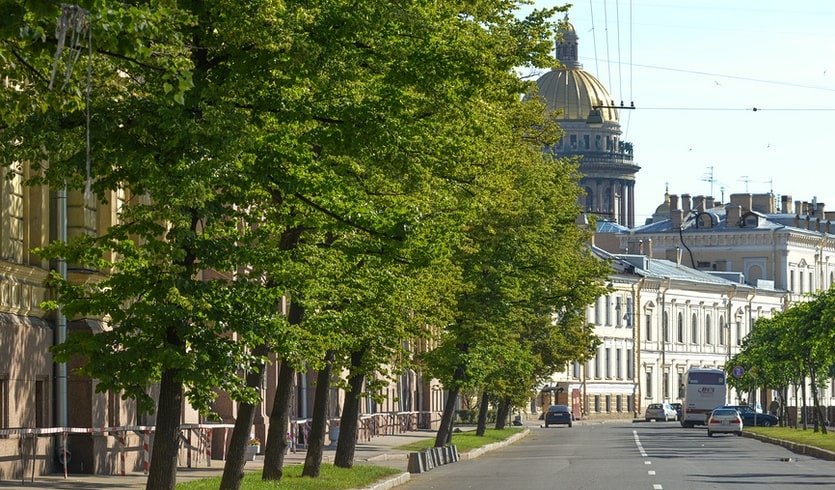 Большая Морская улица – пешеходные экскурсии от 1100 рублей