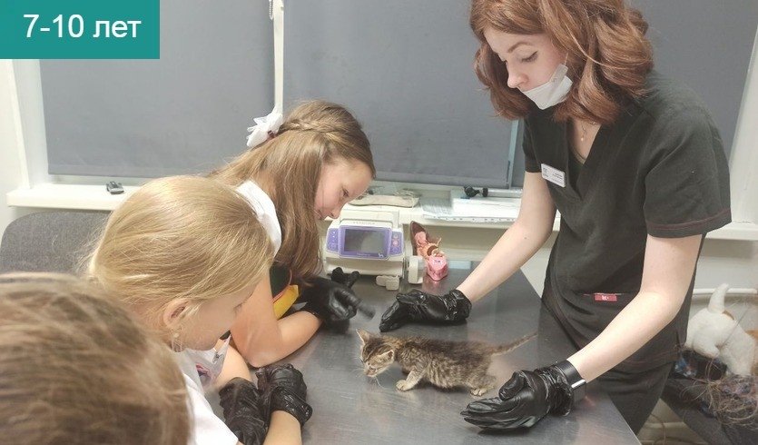 «Юный ветеринар» (интерактивная экскурсия) — сборные экскурсии, мастер-классы, квесты для школьников в Санкт-Петербурге от 1200 рублей