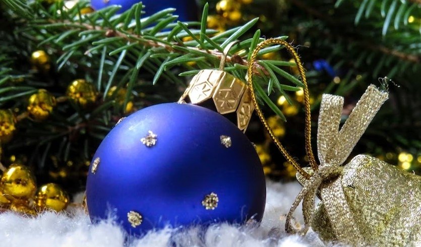 Новый год — Сборные экскурсии для школьников в Санкт-Петербурге от 990 рублей