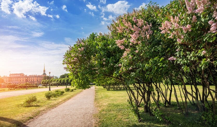 Петербург развлечений (для заказных групп) – автобусные экскурсии для организованных групп от 450 рублей