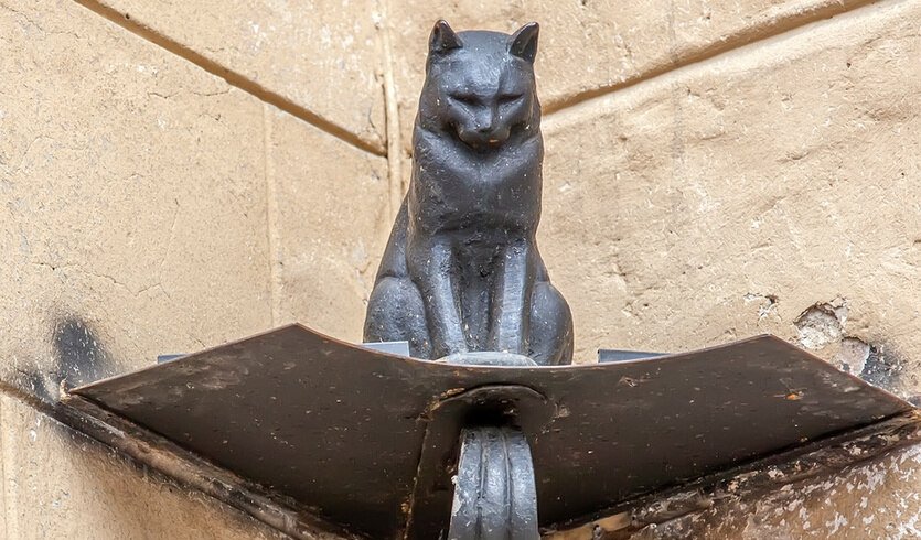 ЗаМурчательный Петербург — Музеи