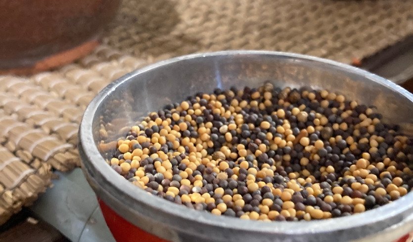 Кофе, шоколад и Петербург (для групп) – автобусные экскурсии для организованных групп от 1650 рублей