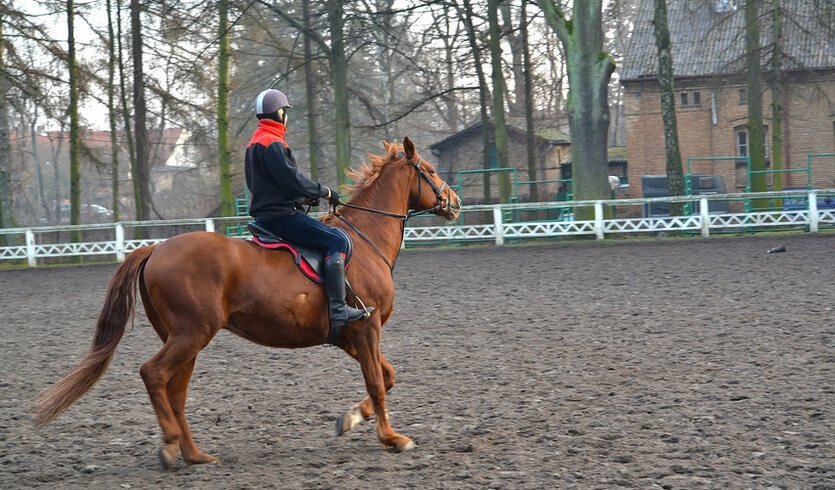 Дворянские усадьбы Лужской Швейцарии — Автобусные загородные