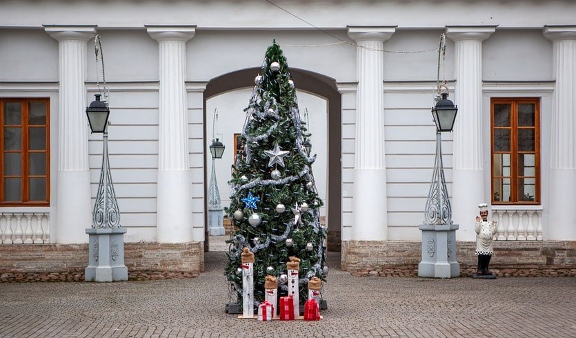 Елагин остров – Сборные экскурсии для школьников в Санкт-Петербурге
