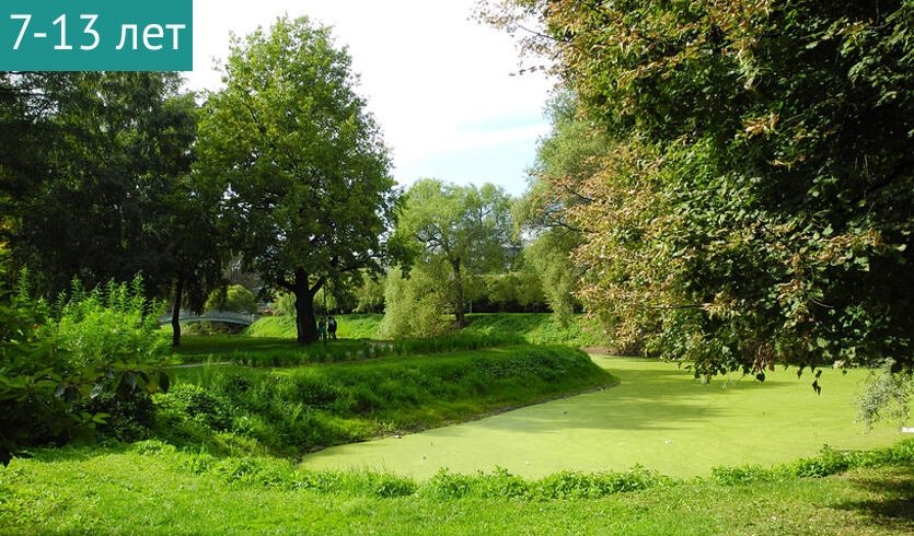 В гости к Таврику (экскурсия по Таврическому саду) – сборные экскурсии для школьников в Санкт-Петербурге